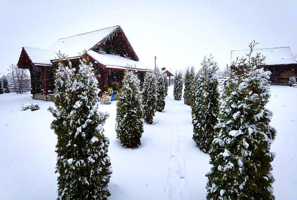La Casute Bran Villa Bran  Esterno foto