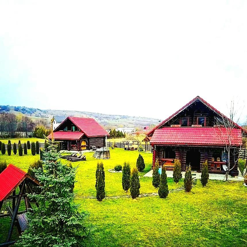 La Casute Bran Villa Bran  Esterno foto