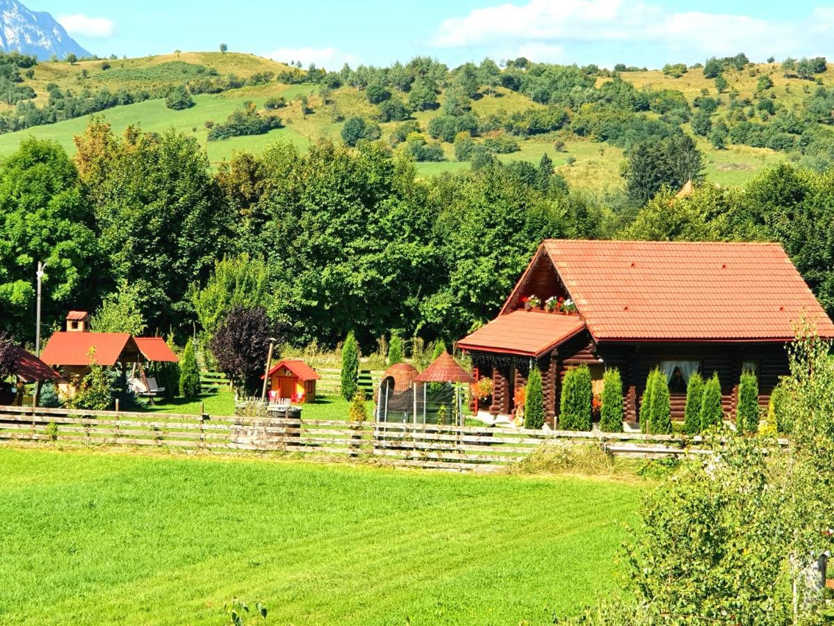 La Casute Bran Villa Bran  Esterno foto